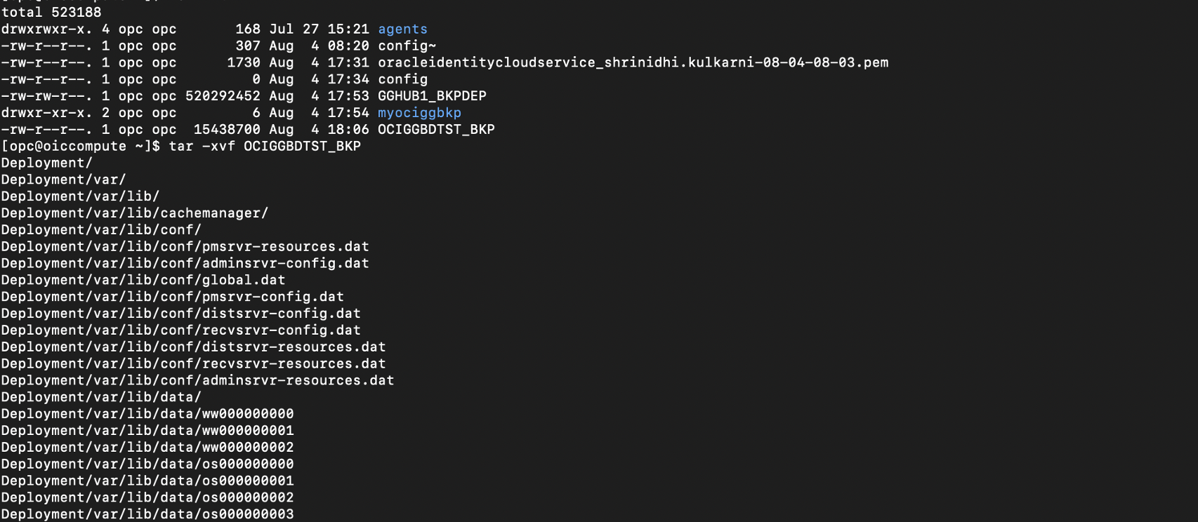Access OCI GoldenGate deployment backup as regular filesystem using ...
